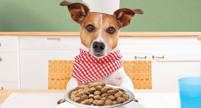 Alimentación sostenible para mascotas