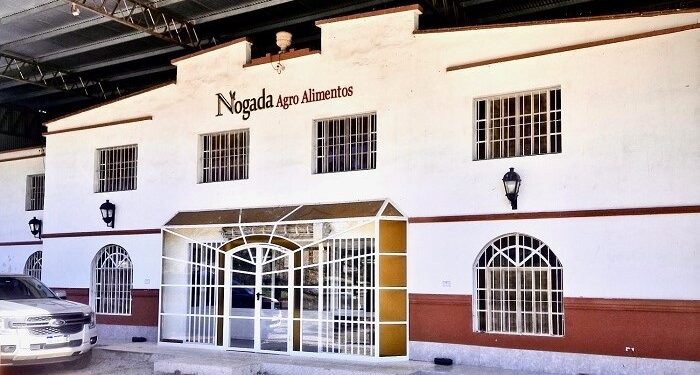 Del olivo a la góndola