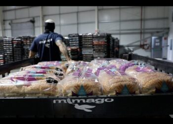 Panificación en movimiento