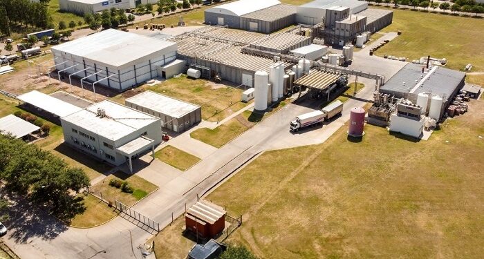 La agilidad y flexibilidad como fortalezas